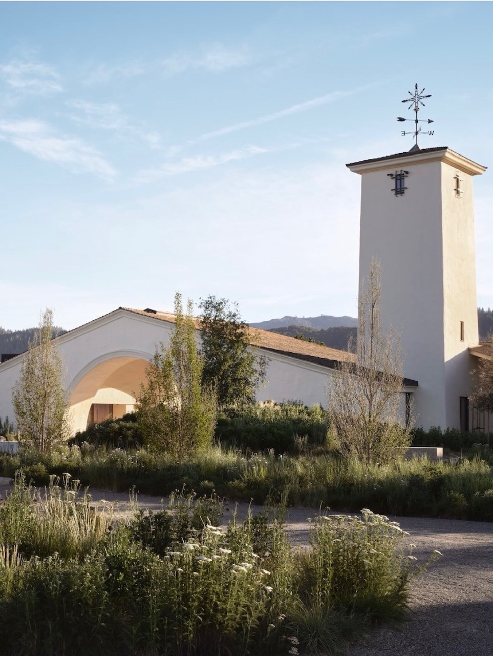 Mondavi